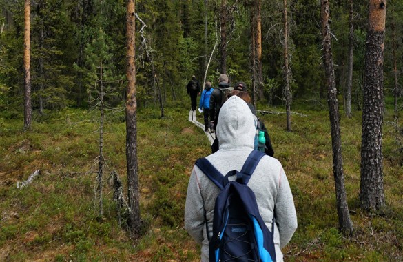 Besökare till Björnlandet promenerar längs spångar. Foto: Lin Kleiven